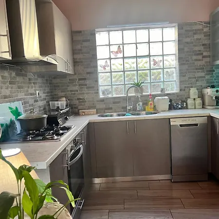 Dirfys - Escape In The Heart Of Evia * Kambia (Euboea)