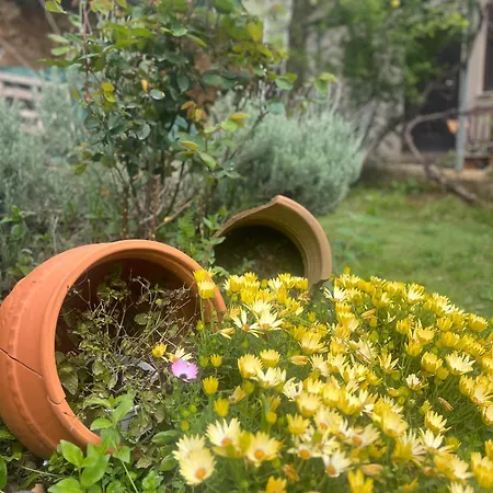 Chalet Dirfys - Escape In The Heart Of Evia