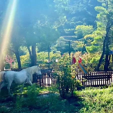 Dirfys - Escape In The Heart Of Evia Chalet