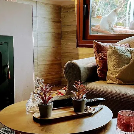 Dirfys - Escape In The Heart Of Evia Chalet *